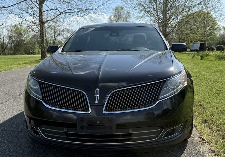 2014 Lincoln MKS          <a href='http://www.carfax.com/VehicleHistory/p/Report.cfx?partner=DVW_1&vin=1LNHL9DK3EG601133'><img src='http://www.carfaxonline.com/assets/subscriber/carfax_free_button.gif' width='120' height='49' border='0'></a>