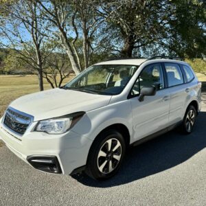 2017 Subaru Forester 2.5i Premium  <a href='http://www.carfax.com/VehicleHistory/p/Report.cfx?partner=DVW_1&vin=JF2SJABC9HH548774'><img src='http://www.carfaxonline.com/assets/subscriber/carfax_free_button.gif' width='120' height='49' border='0'></a>
